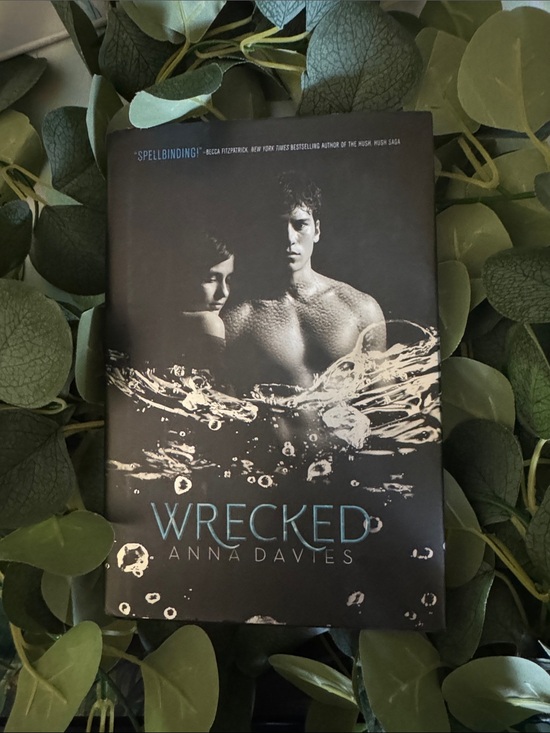Other - Wrecked by Anna Davies